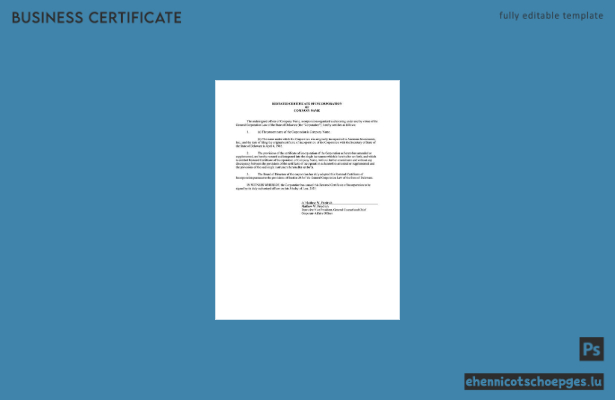 USA Delaware Gründungsurkunde – Beispielvorschau in Word und PDF